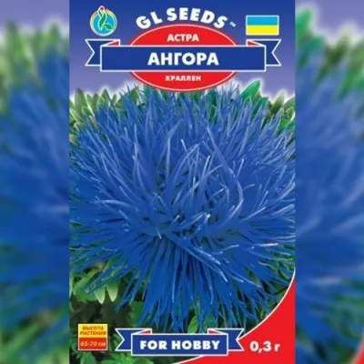 Астра Ангора фото