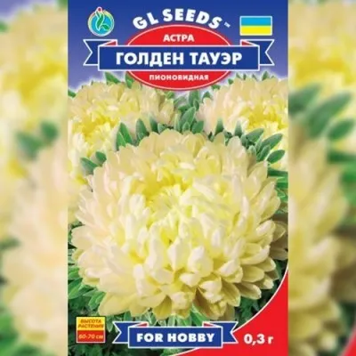 Астра Голден Тауэр фото