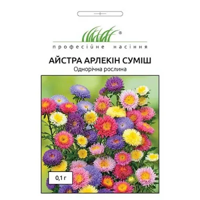 Астра Арлекин смесь фото