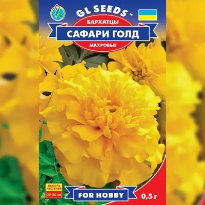 Бархатцы Сафари фото