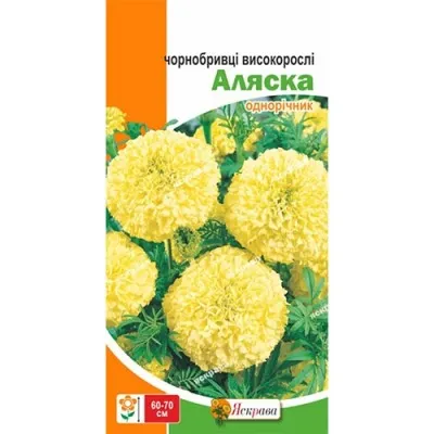 Бархатцы Аляска фото