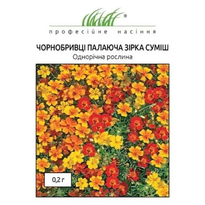 Бархатцы Горящая звезда, смесь фото