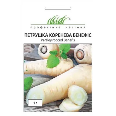 Петрушка корневая Бенефис фото