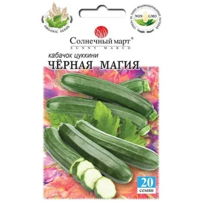 Кабачок Черная магия фото