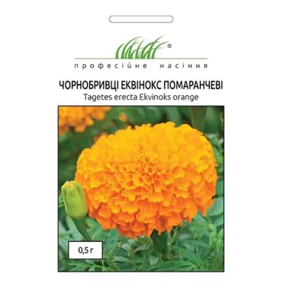 Бархатцы Эквинокс оранжевые фото