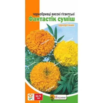 Бархатцы Фантастик смесь фото