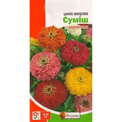 Циния Махровая Смесь фото