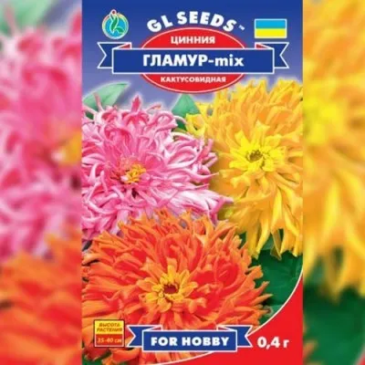 Циния Гламур фото
