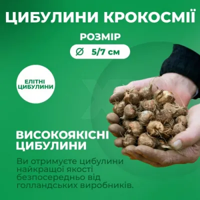 Крокосмия Микс фото