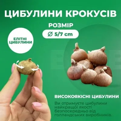 Микс Звездный Букет фото