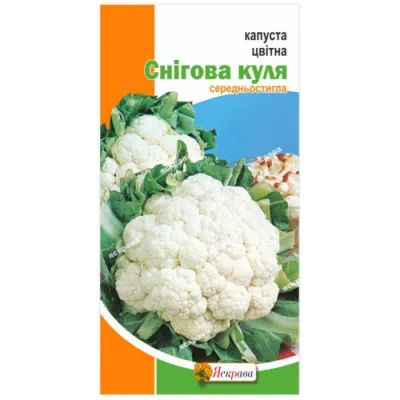 Капуста цветная Снежный шар фото