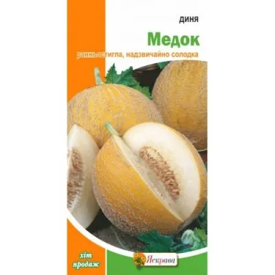 Дыня Медок фото