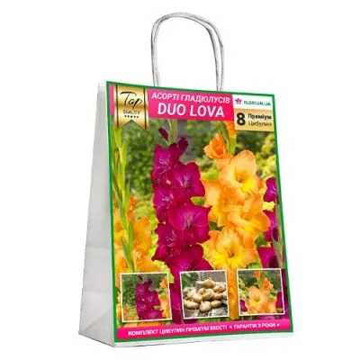 Премиум гладиолусы DUO Lova (брендовая упаковка) фото