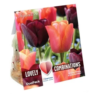 Комбо Тюльпаны Duopack Triumph Purple & Orange (Брендовые луковицы KAPITEYN®) фото
