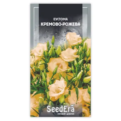 Эустома кремово-розовая фото