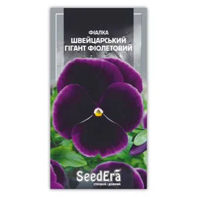 Фиалка Швейцарский Гигант Фиолетовый фото