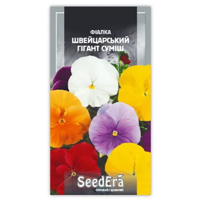 Фиалка Швейцарский Гигант Cмесь фото