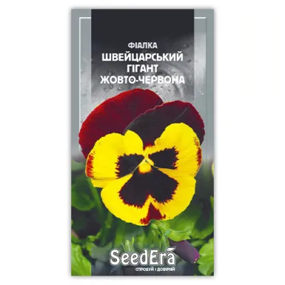 Фиалка Швейцарский Гигант Желто-Красная фото