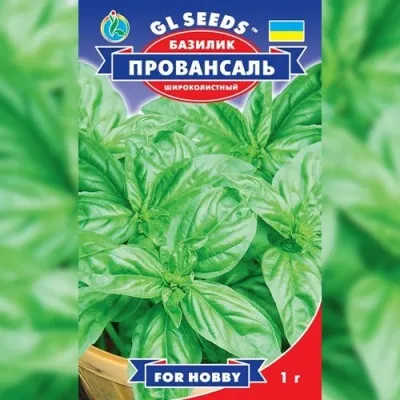 Базилик Провансаль зеленый фото