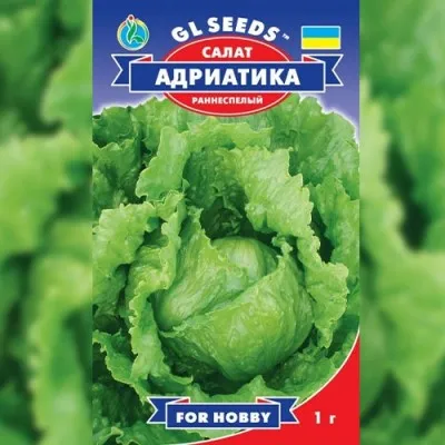 Салат Адриатика фото