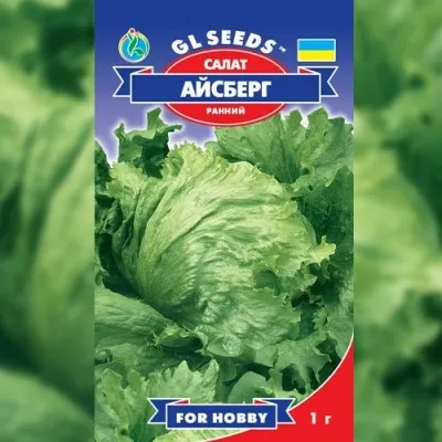 Салат Айсберг кочанный фото