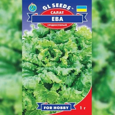 Салат Ева кочанный фото