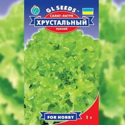 Салат Хрустальный фото