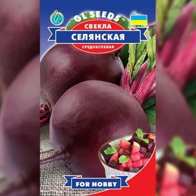 Свекла Селянская фото