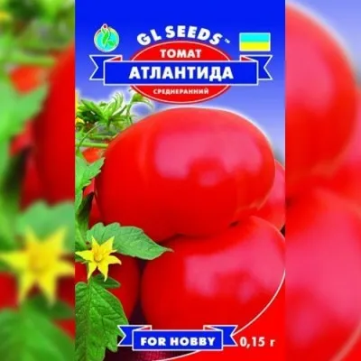 Томат Атлантида  фото