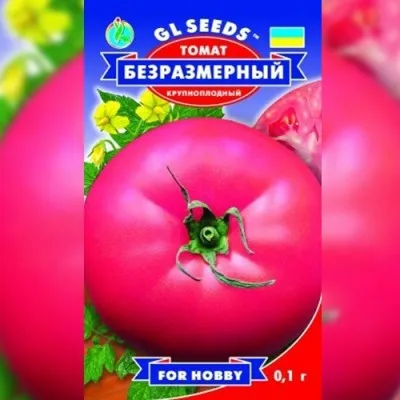 Томат Безразмерный фото