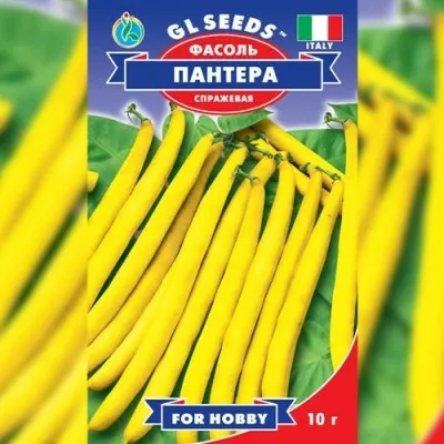 Фасоль спаржевая Пантера фото