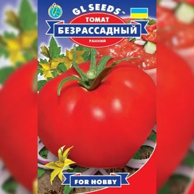 Томат Безрассадный фото
