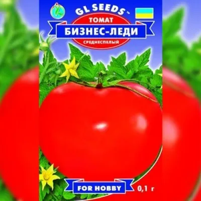 Томат Бизнес леди фото