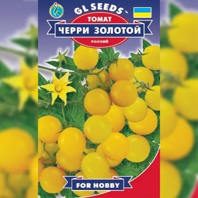 Томат Черри золотой фото