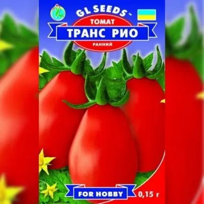 Томат Транс Рио фото