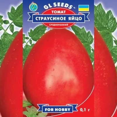 Томат Страусиное яйцо фото