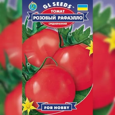 Томат Розовый Рафаэлло фото