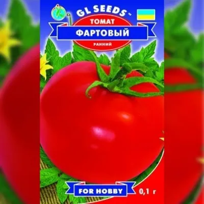 Томат Фартовый фото