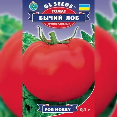 Томат Бычий лоб фото