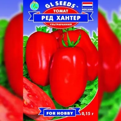 Томат Ред Хантер фото