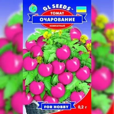 Томат Очарование фото