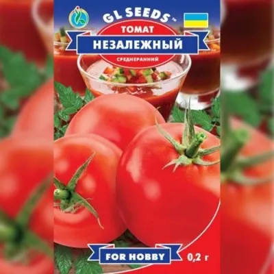 Томат Незалежный           фото