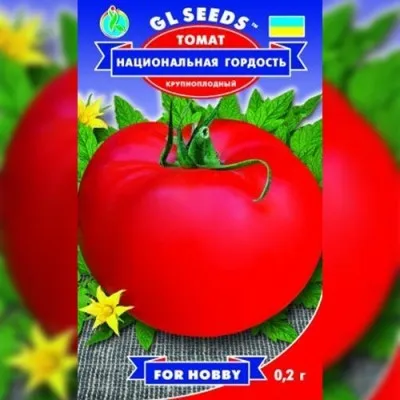 Томат Национальная Гордость  фото