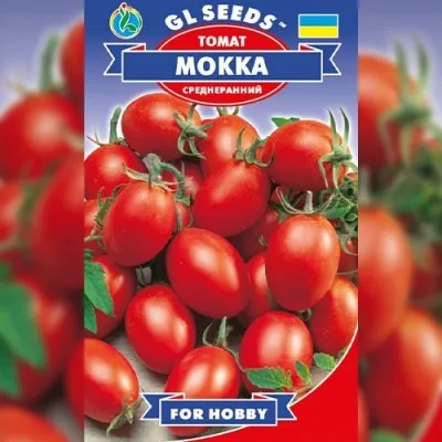 Томат Мокка фото