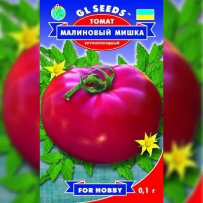 Томат Малиновый Мишка фото