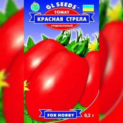 Томат Красная Стрела фото