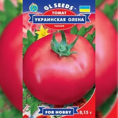Томат Украинская Олена фото