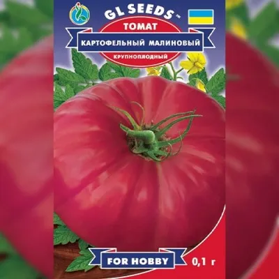 Томат Картофельный малиновый фото