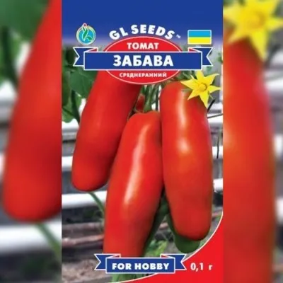 Томат Забава фото