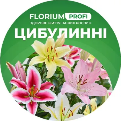 Удобрение для луковичных цветов  (Florium Profi универсальное) 4м. 250г фото